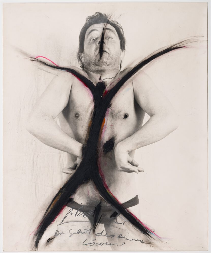 A Rainer Die Geburt des steinernen Loewen Kleiner