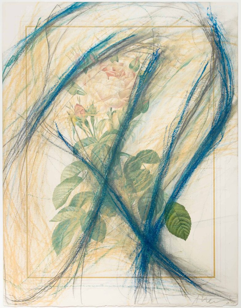 Rainer Rose ungerahmt